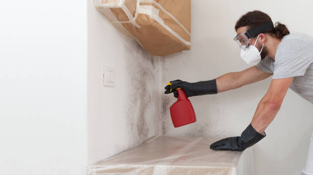 Professional Crawl Space Mold Removal technician working in Helmetta, NJ